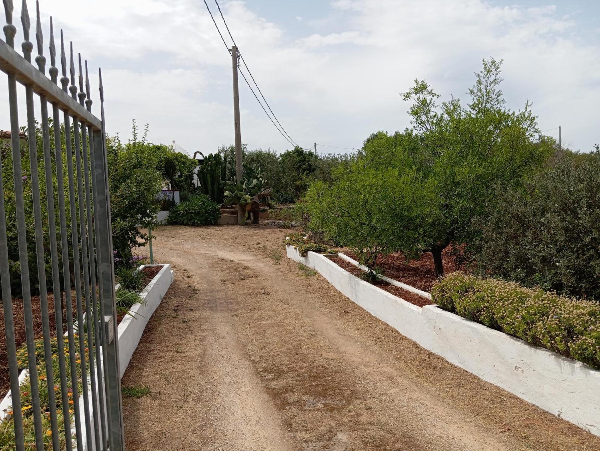 Villa Del Sole Specchiolla Bagian luar foto