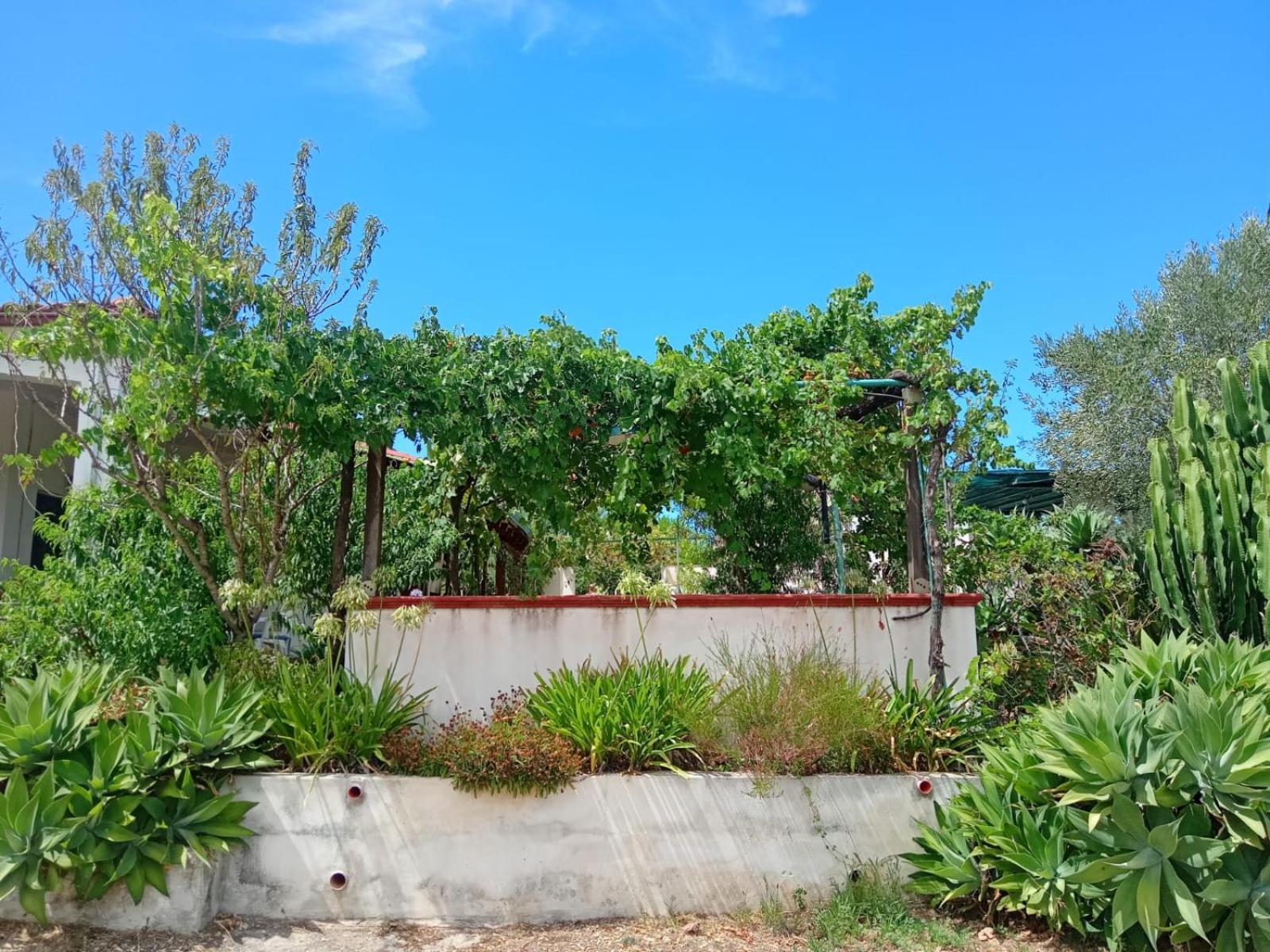 Villa Del Sole Specchiolla Bagian luar foto